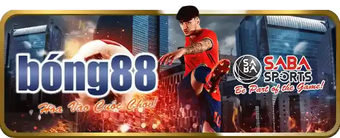 Phân tích chuyên gia cá cược af888